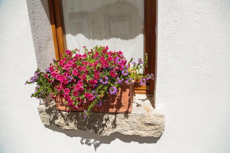 Olbia Domus Inn מראה חיצוני תמונה